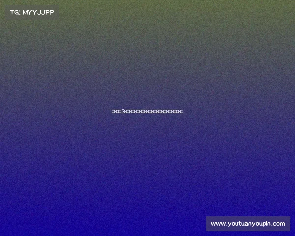 英雄联盟S赛运营策略与战队表现分析：从备战到决赛的全程解析